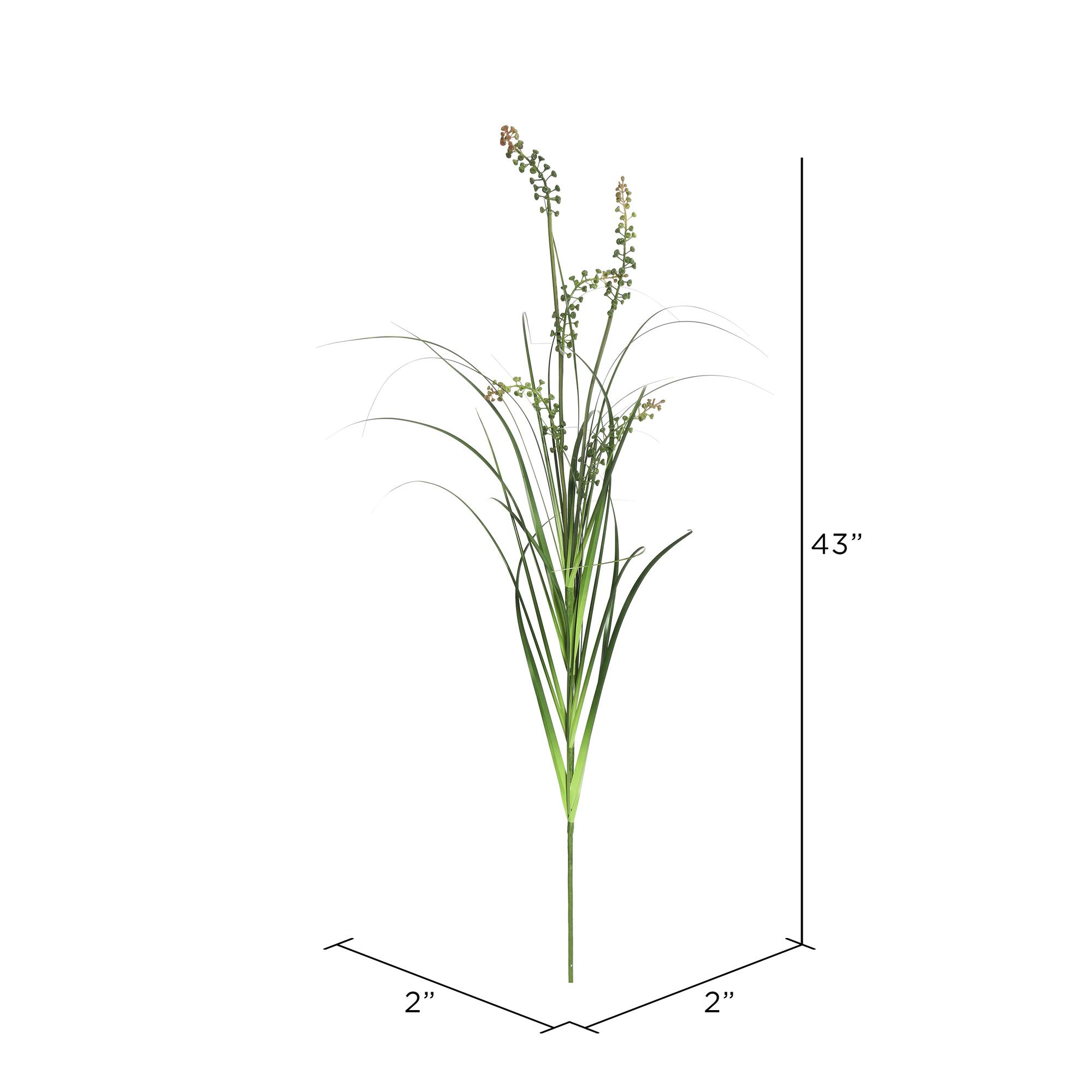 6 Pack: Green Sheep's Grass Spray